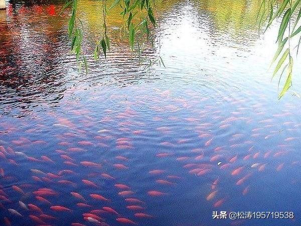 快乐八开奖开奖_快乐八开奖开奖结果今天