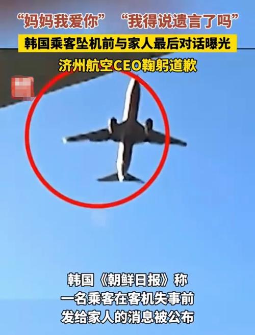 2025新澳门天天开奖记录和韩国坠机致4人遇难与韩国坠机事件