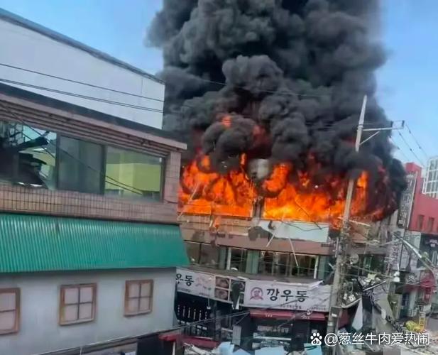 新奥最精免费大全管家婆和韩国坠机致4人遇难与韩国飞机坠落之谜