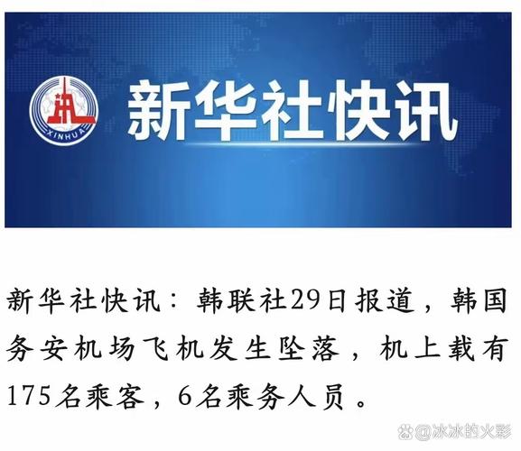 2025新奥资料正版大全和韩国坠机致4人遇难与韩国坠机事件