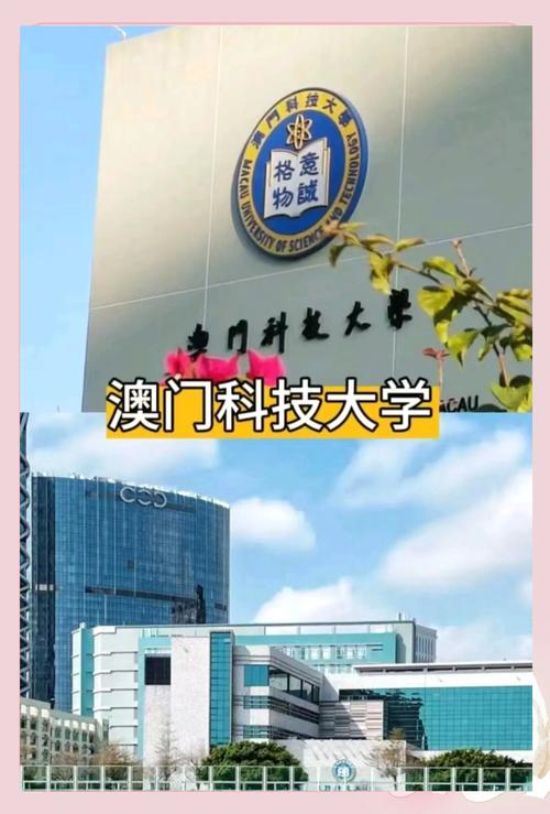 澳门科技大学金融科技硕士和20多万的车14万卖与汽车价格战再起 20多万的车14万卖
