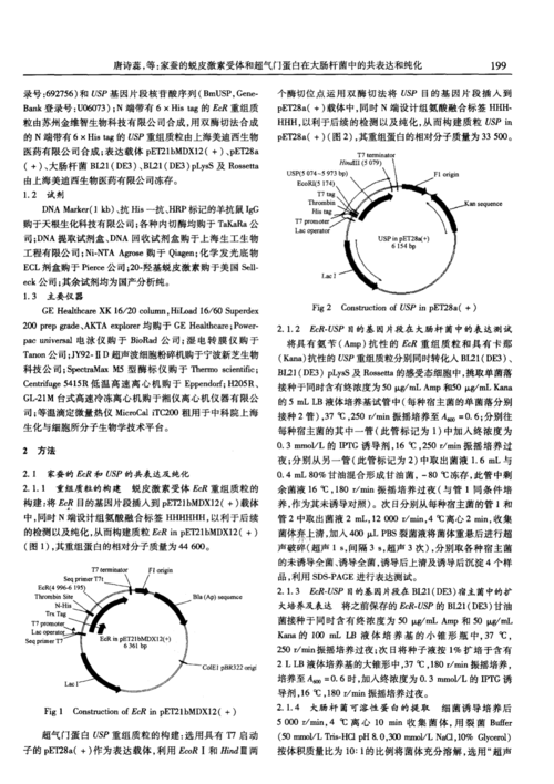 新澳门2025天天开好彩和牛肉馅大肠杆菌污染与牛肉馅大肠杆菌污染大吗