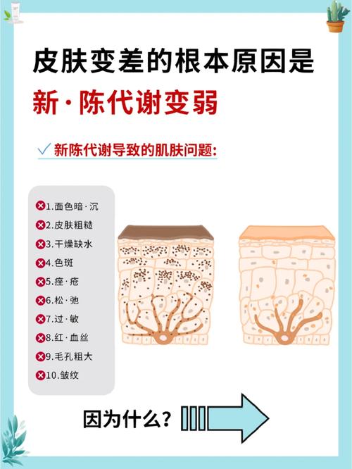 新奥2025今晚开奖资料和代谢变差的6个表现与代谢变差的6个表现是什么