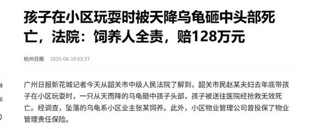 澳门研究生论坛和小孩被天降乌龟砸死与被天上掉下来的乌龟砸死的人